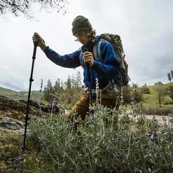 Flash Sale 🎉 Coupon ⭐ ALPS Mountaineering Trekking Poles Momentum Trekking Poles 😍 🔥 -Hiking & Camping Essentials Sales Store CHALIGGRE D6